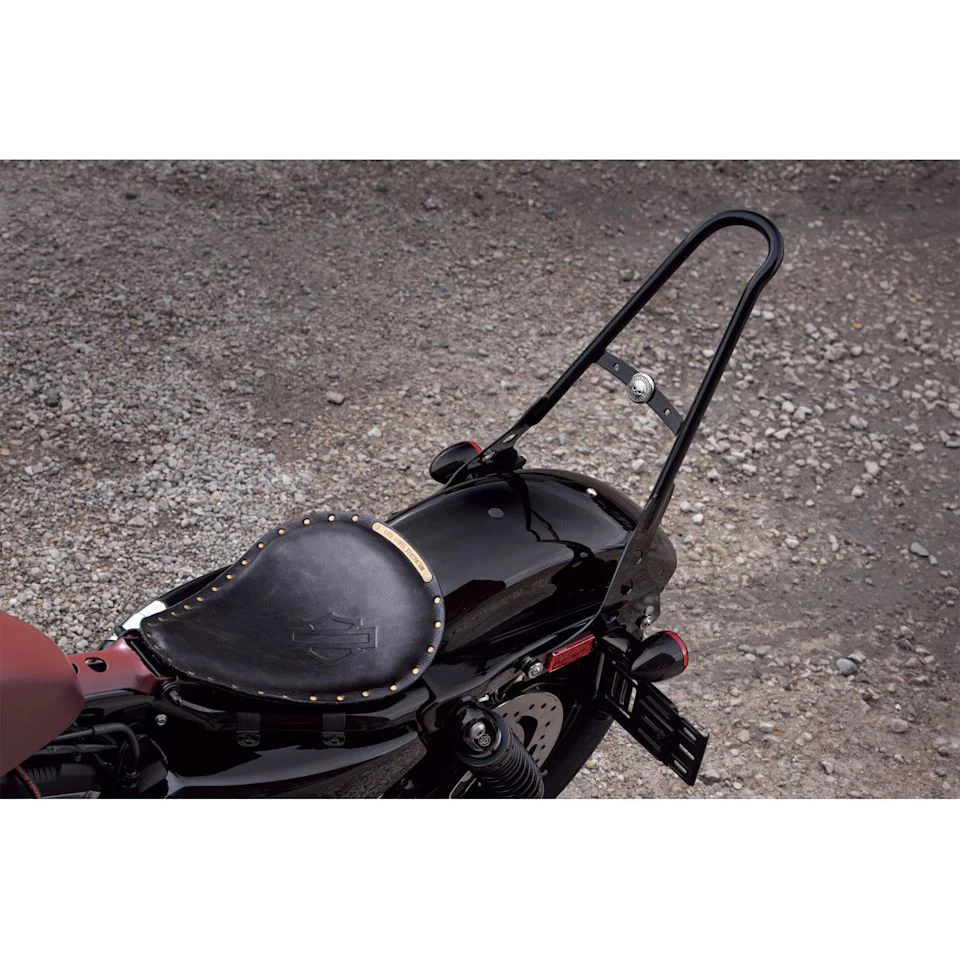 Harley-Davidson® One-Piece H-D Detachables Sissy Bar Upright - Image 2