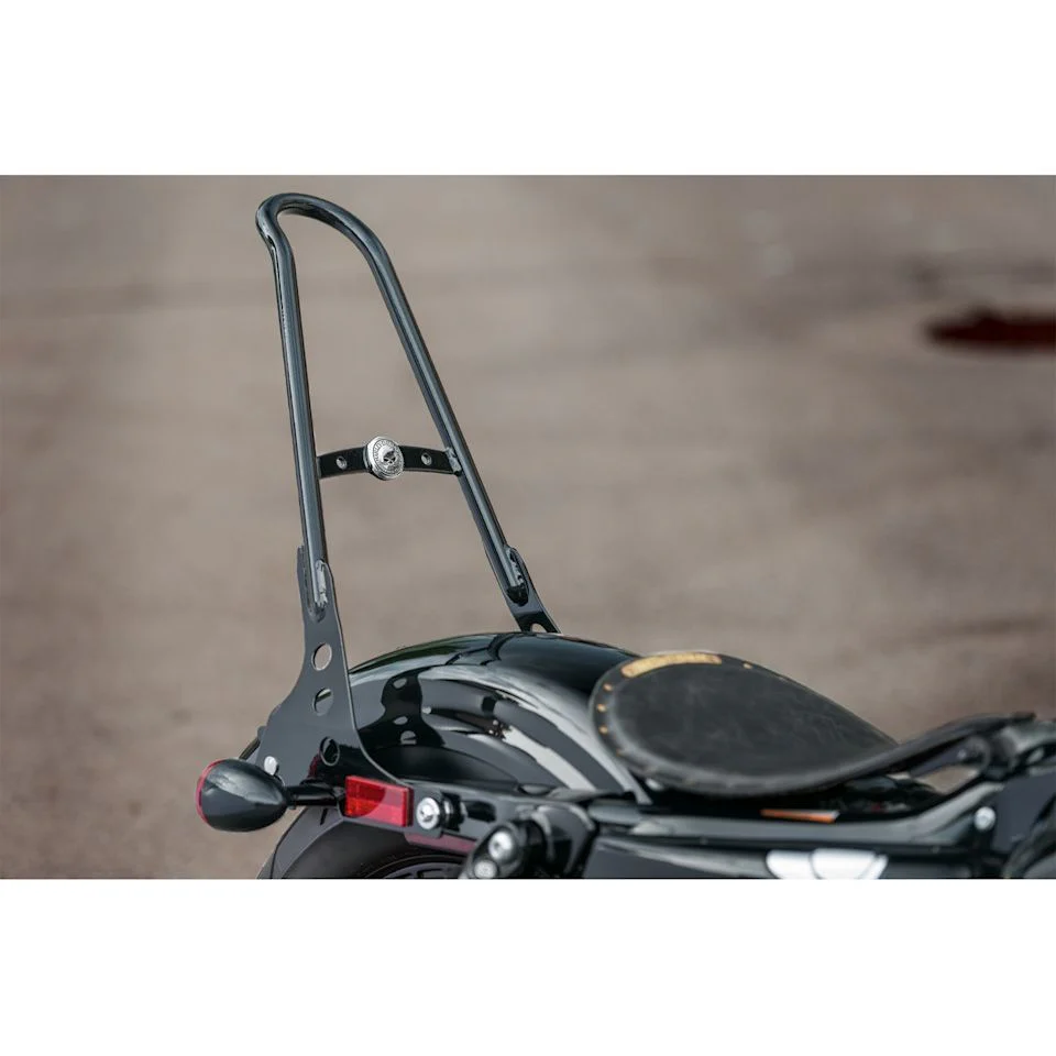 Harley-Davidson® One-Piece H-D Detachables Sissy Bar Upright - Image 3