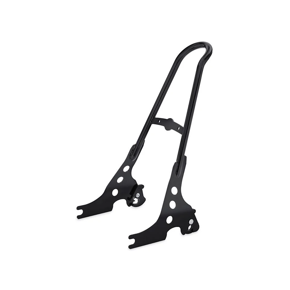 Harley-Davidson® One-Piece H-D Detachables Sissy Bar Upright - Image 4