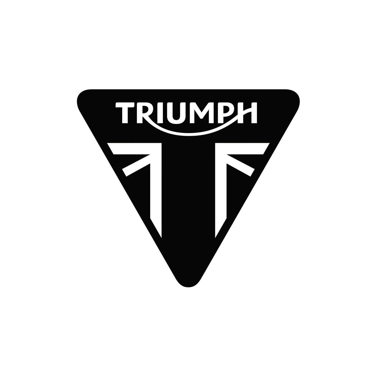 Triumph Fix Kit Bluetooth - SPEED TRIPLE S / RS